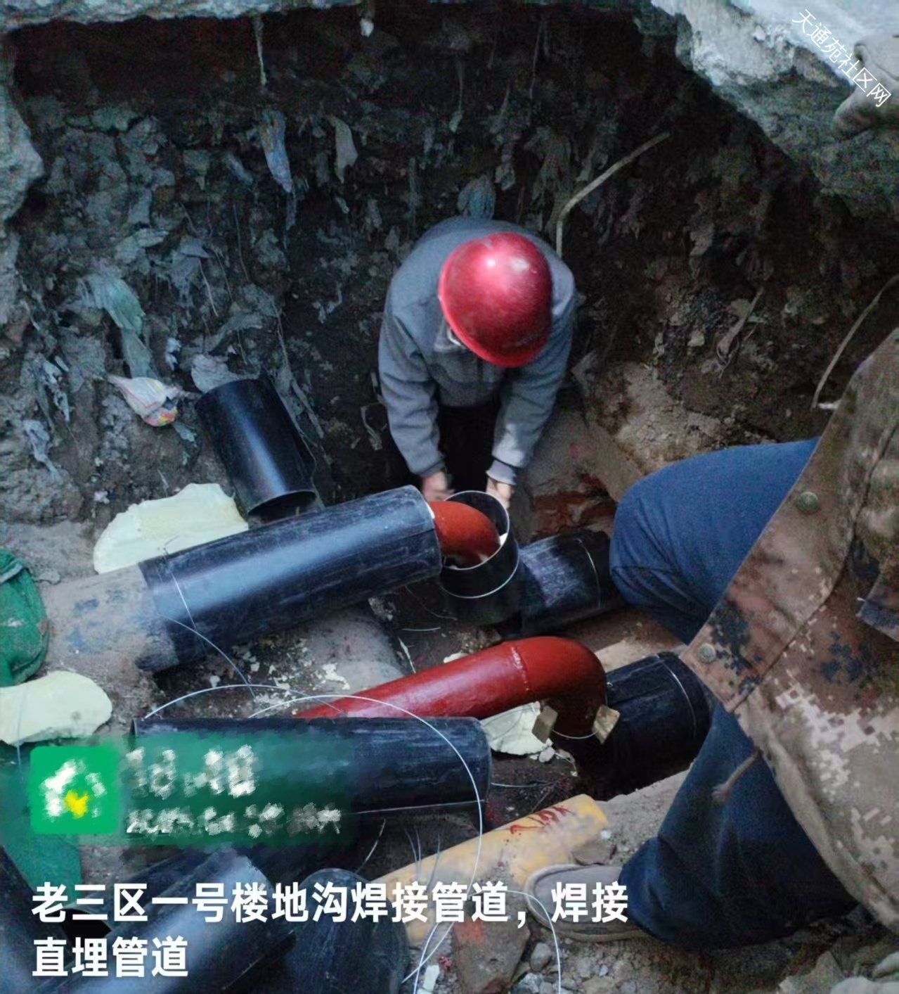 “冬病夏治”天阳在行动