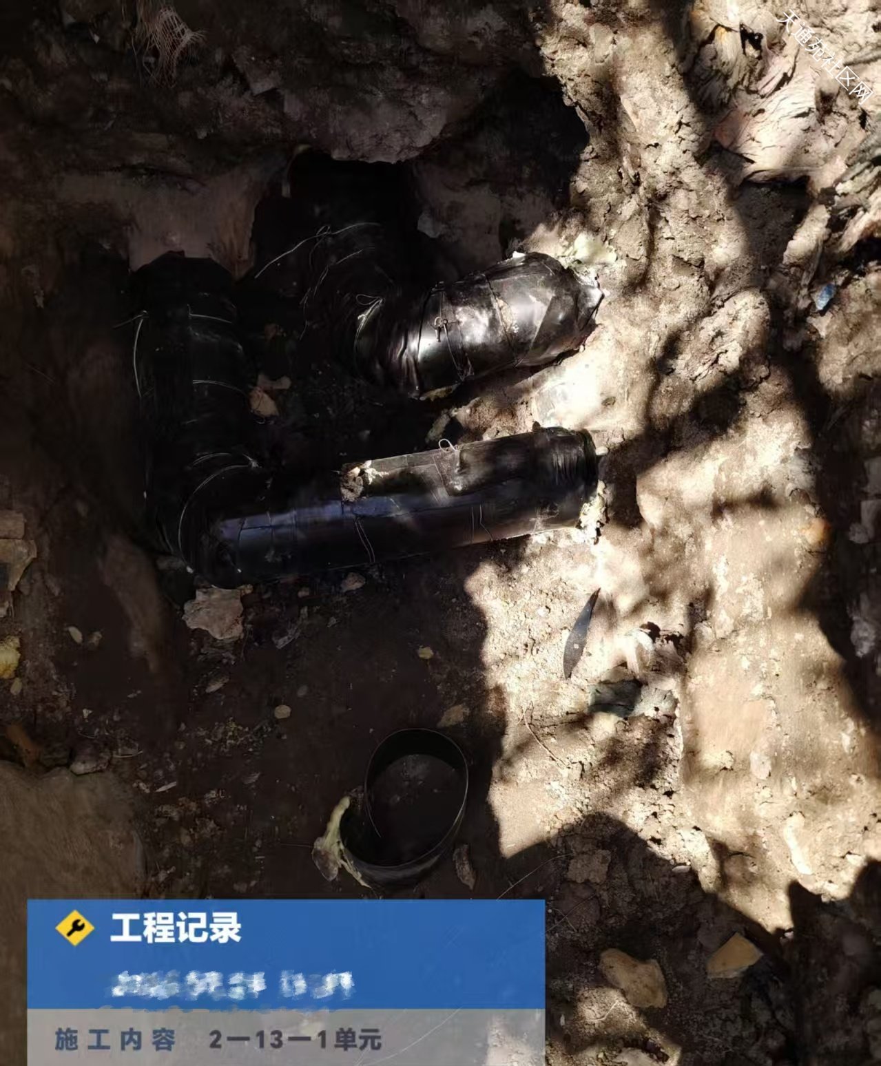 “冬病夏治”天阳在行动